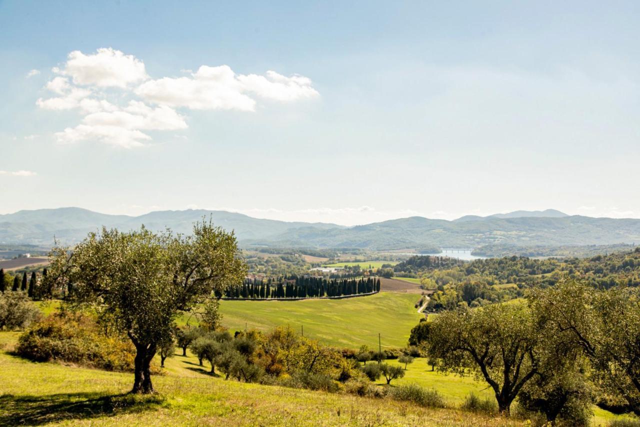 スカルペリーアBorghetto Il Poggiolo Mugello - Affitti Brevi Italiaアパートメント エクステリア 写真
